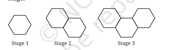Hexagon Matchstick Stages